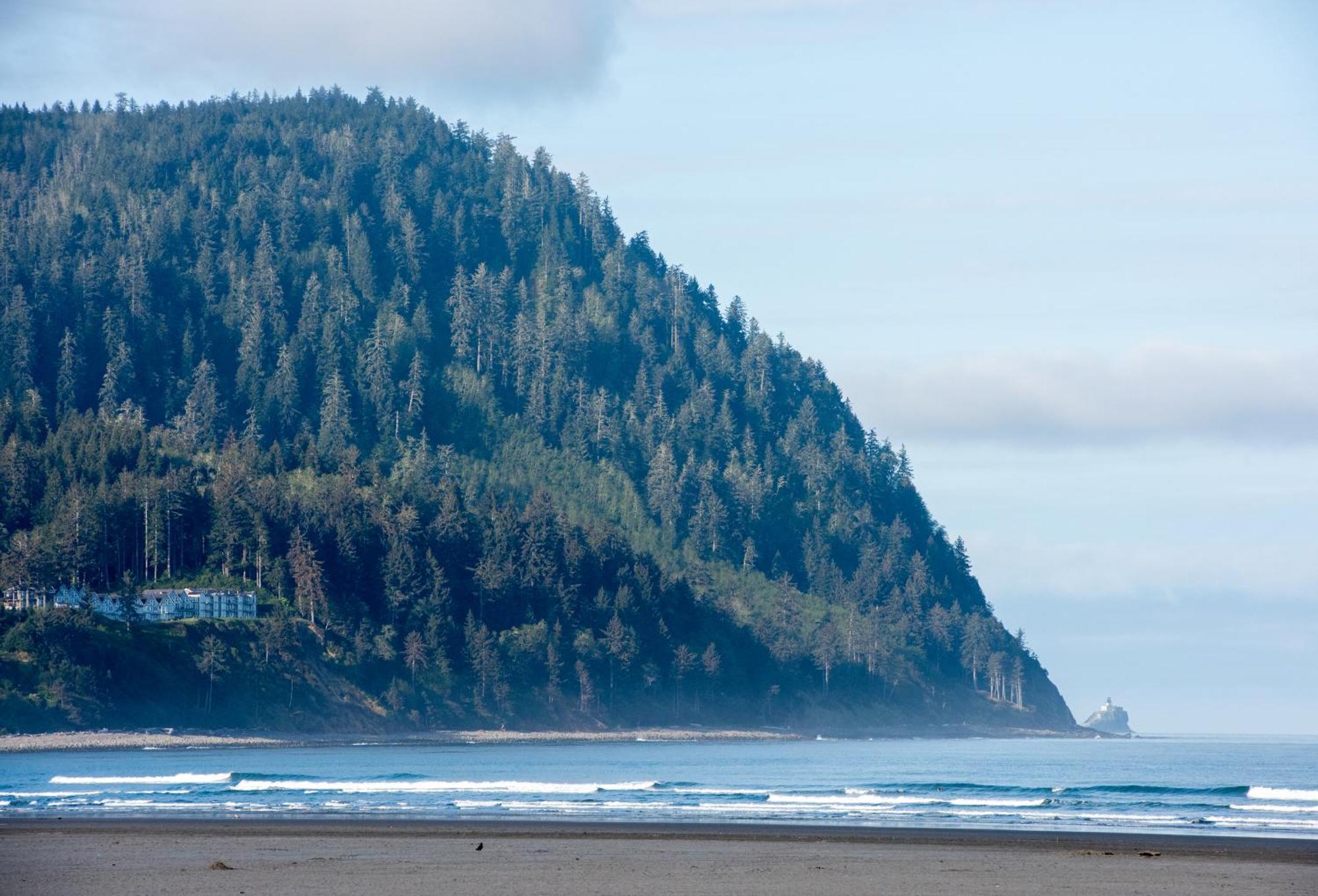 Мотель The Ocean Front At Сисайд Экстерьер фото